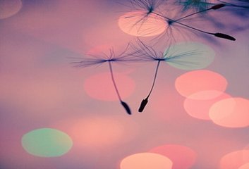 分享5个强大免费的无损音乐网站