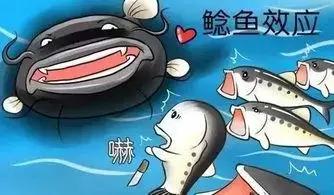 点击查看原图 3.jpg
